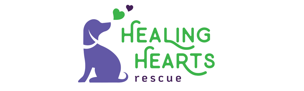 Meet the Missy's Mate: Healing Hearts Rescue