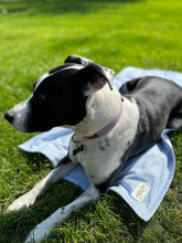 Load image into Gallery viewer, Travel Dog Towel
