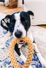 Load image into Gallery viewer, Loopy Rope Tug Toy
