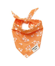 Load image into Gallery viewer, Poppy Dog Bandana
