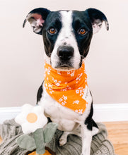 Load image into Gallery viewer, Poppy Dog Bandana
